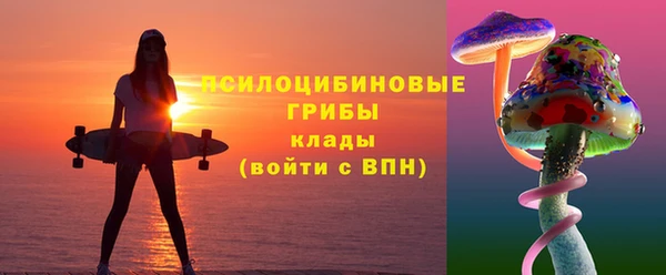 первитин Осинники
