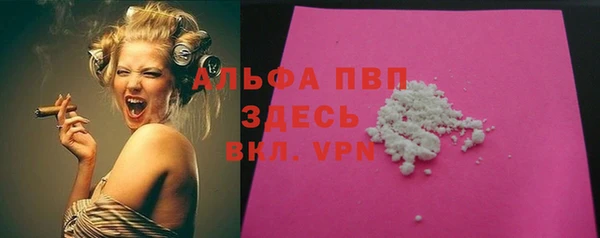 СК Алексин