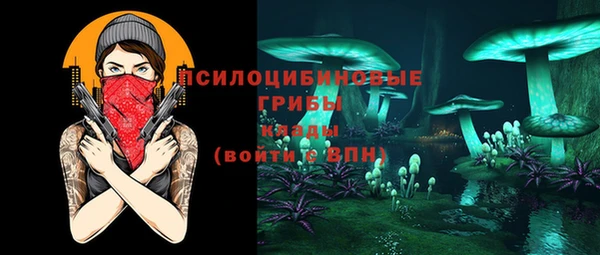 СК Алексин