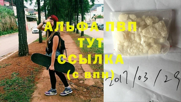 СК Алексин