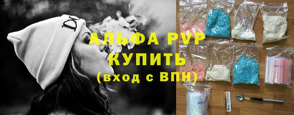 СК Алексин