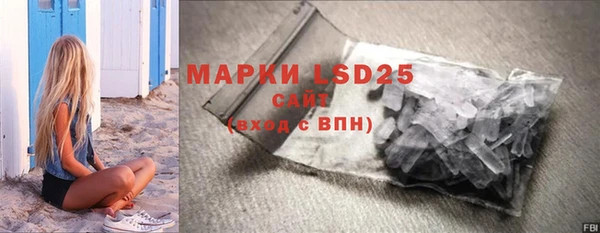 СК Алексин