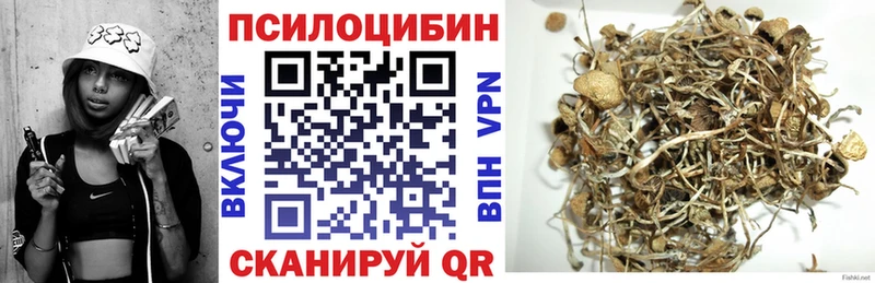Псилоцибиновые грибы Psilocybe  гидра   Боготол  магазин  наркотиков 